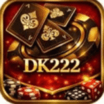DK222 Game